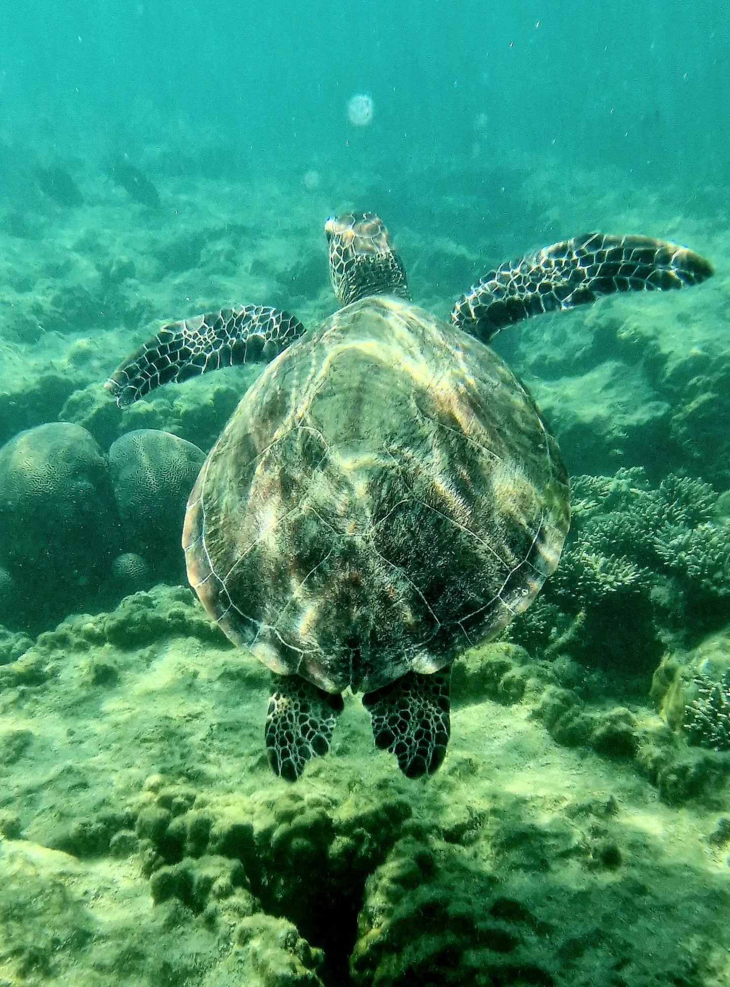 Perhentian Besar - The ultimate snorkeling guide