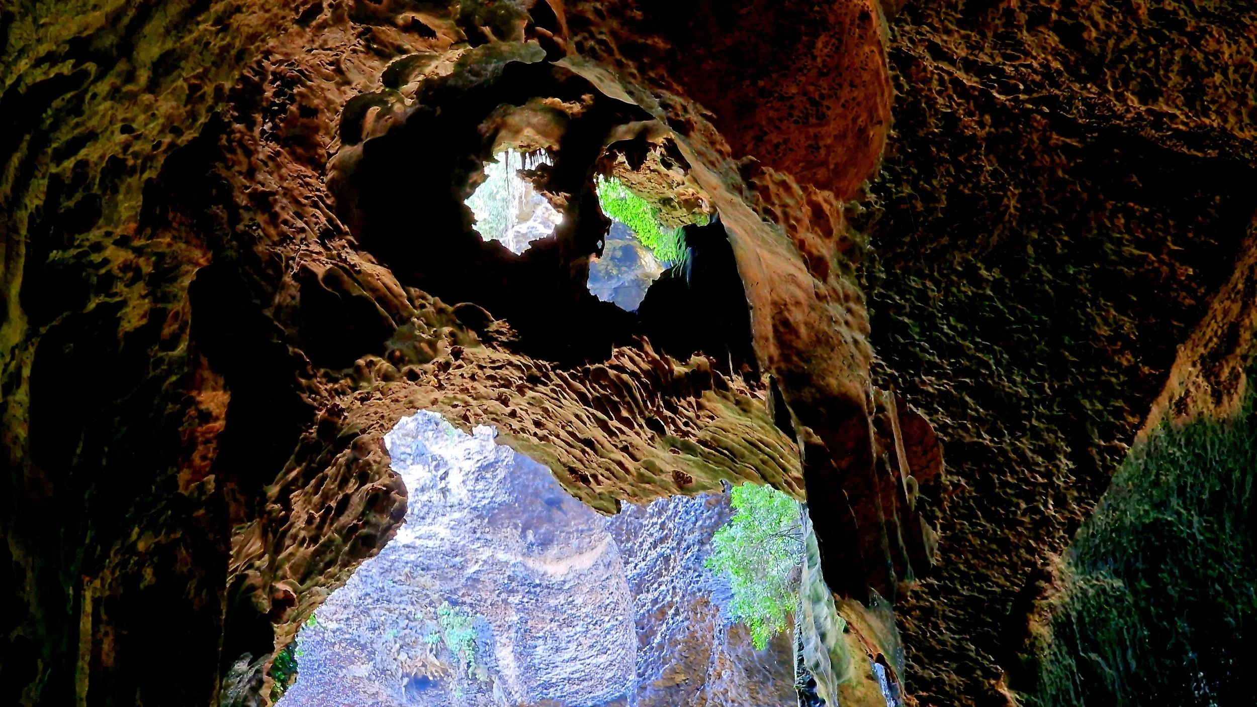 Sabah entdecken - Gomatong Cave