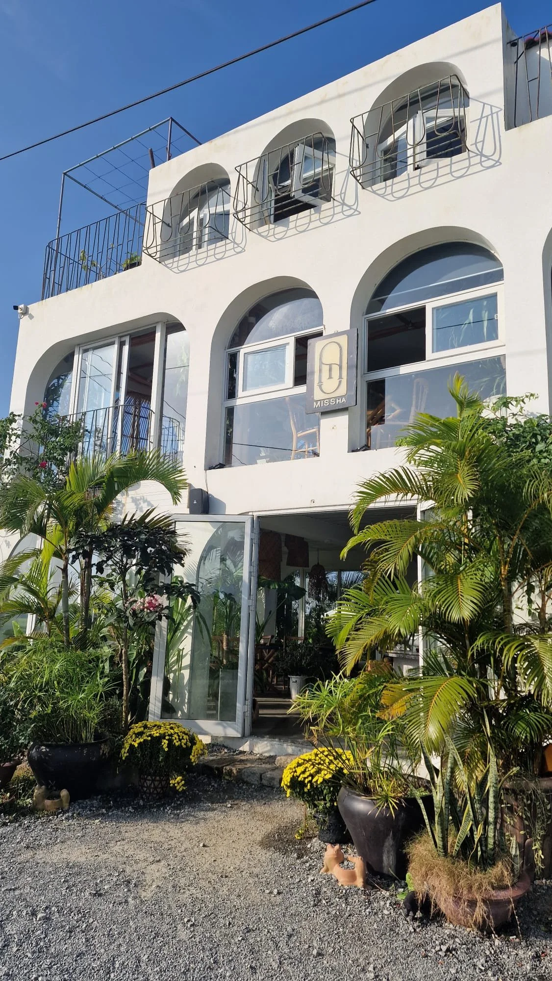 Miss Hoi An Café ricefield vietnam breakfast