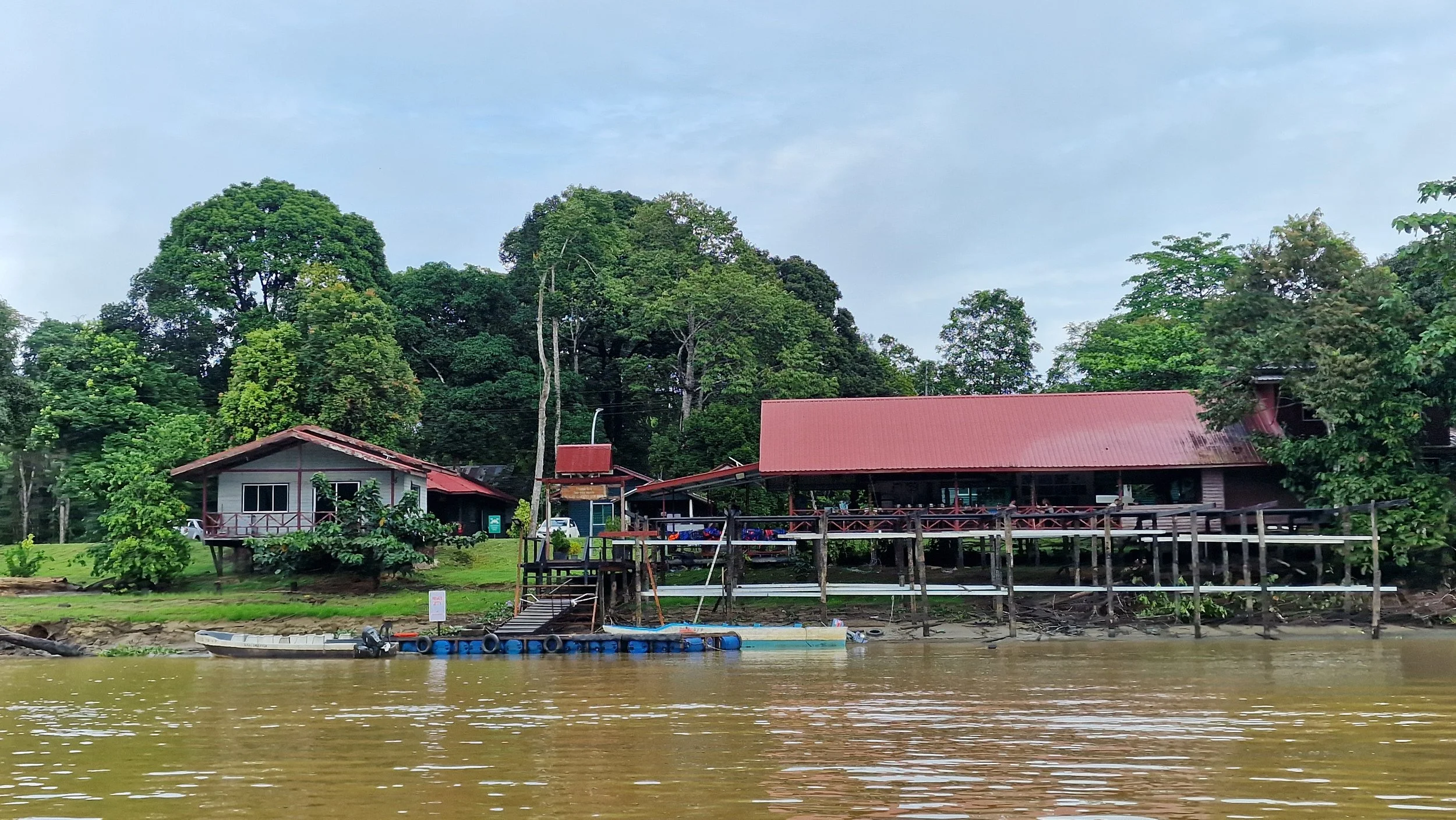 Sukau Greenview Lodge Sabah Borneo