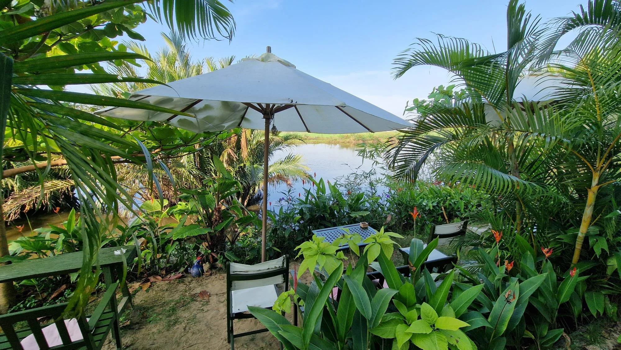 Miss Hoi An Café ricefield Vietnam