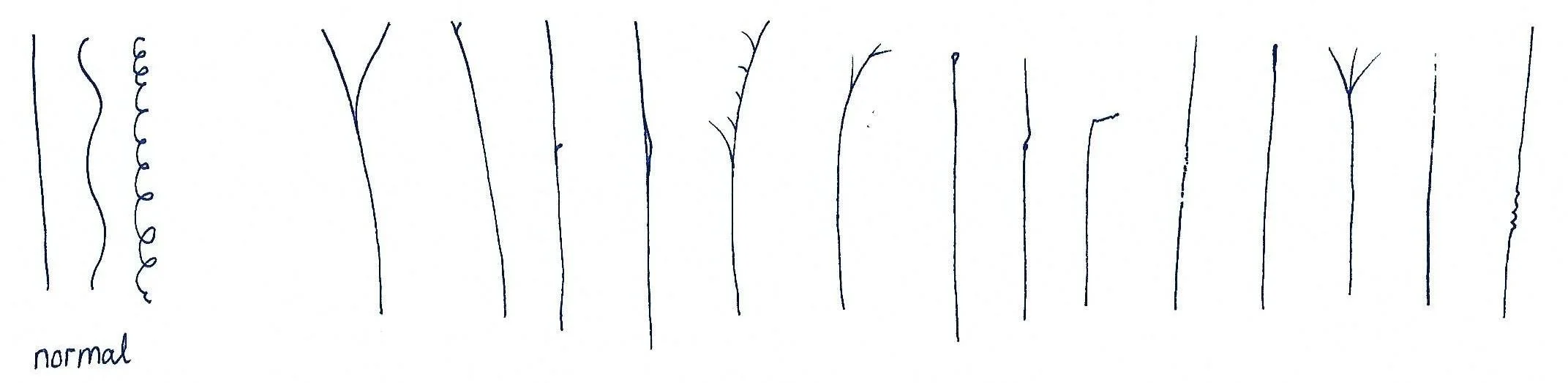 Split ends and damage hair