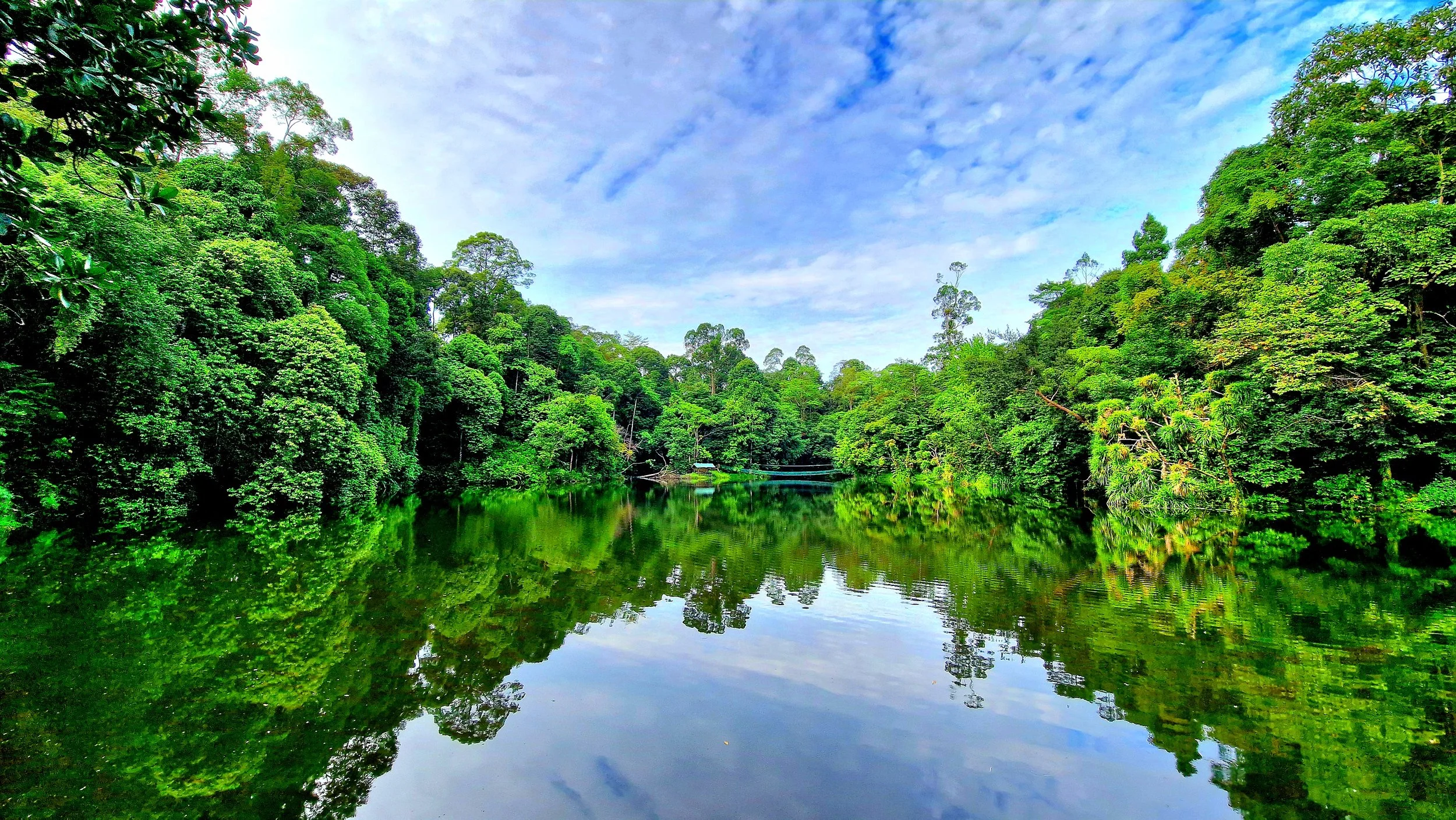 Rainforest Discovery Centre Sepilok Sandakan Sabah Borneo Malaysia