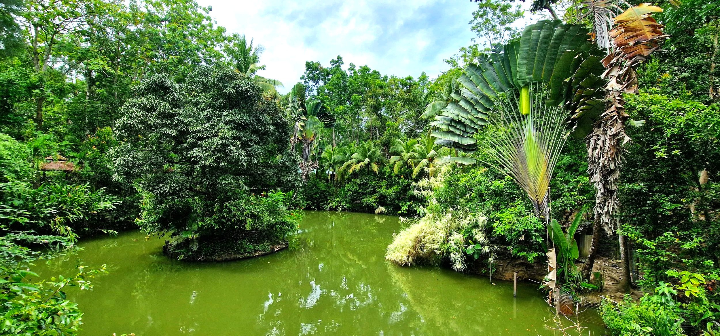 Sepilok Jungle Resort Rainforest nature