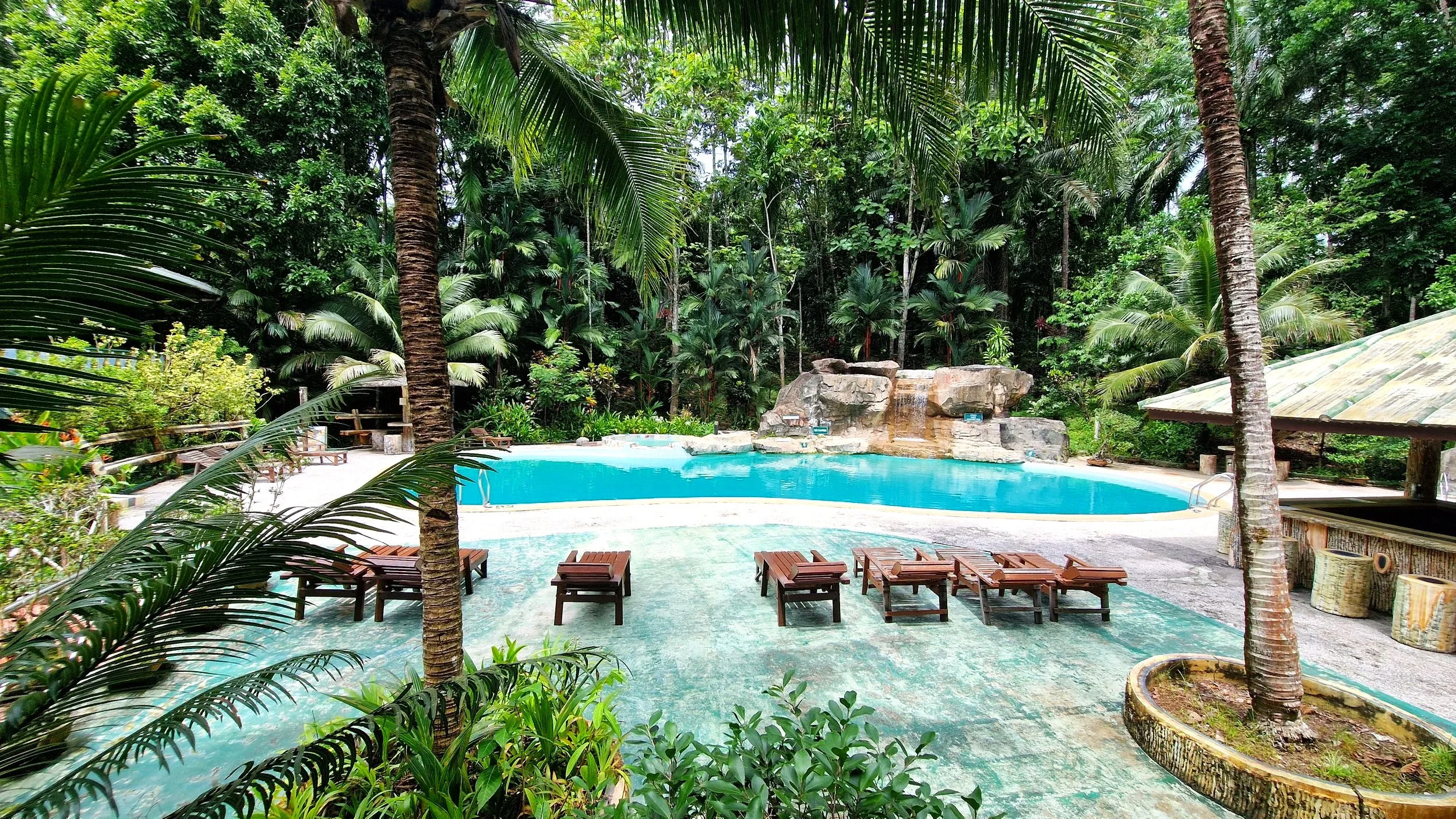 Sepilok Jungle Resort Rainforest Wildlife