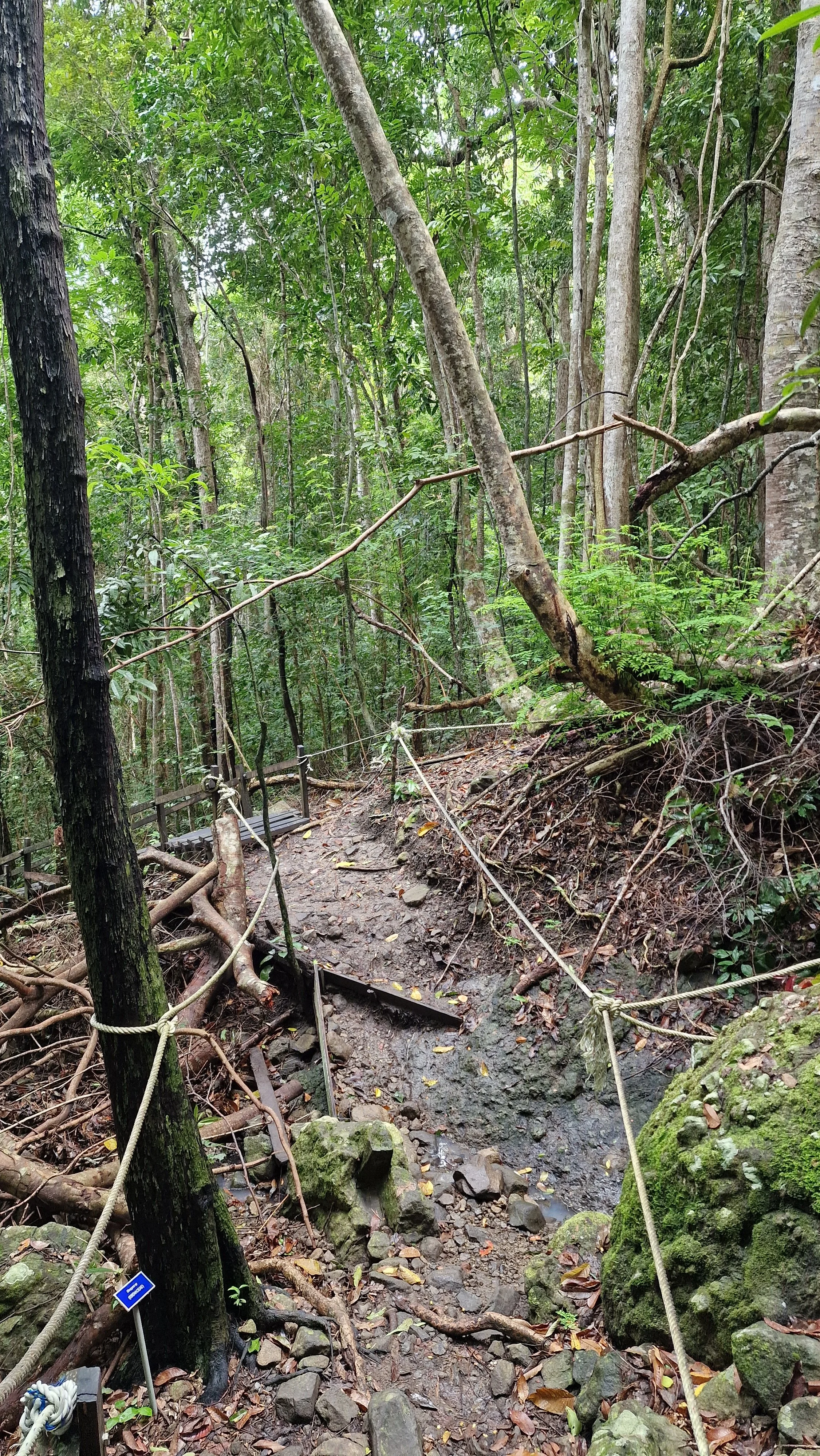 Bohey Dulang Sabah Malaysia Borneo Tun Sakaran Marine Park hiking jungle