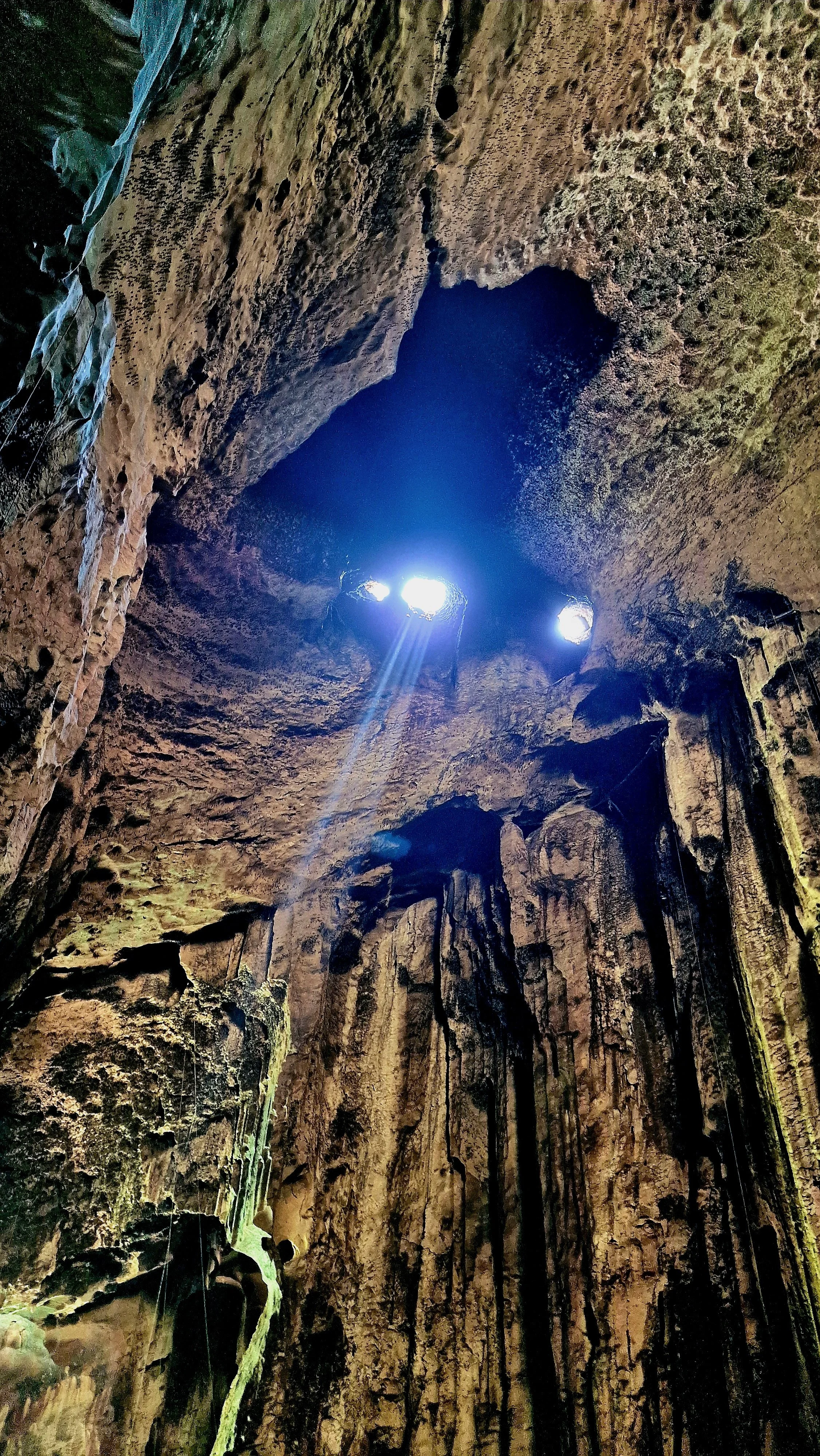 An der Decke der Höhle schlafen tagsüber die Fledermäuse