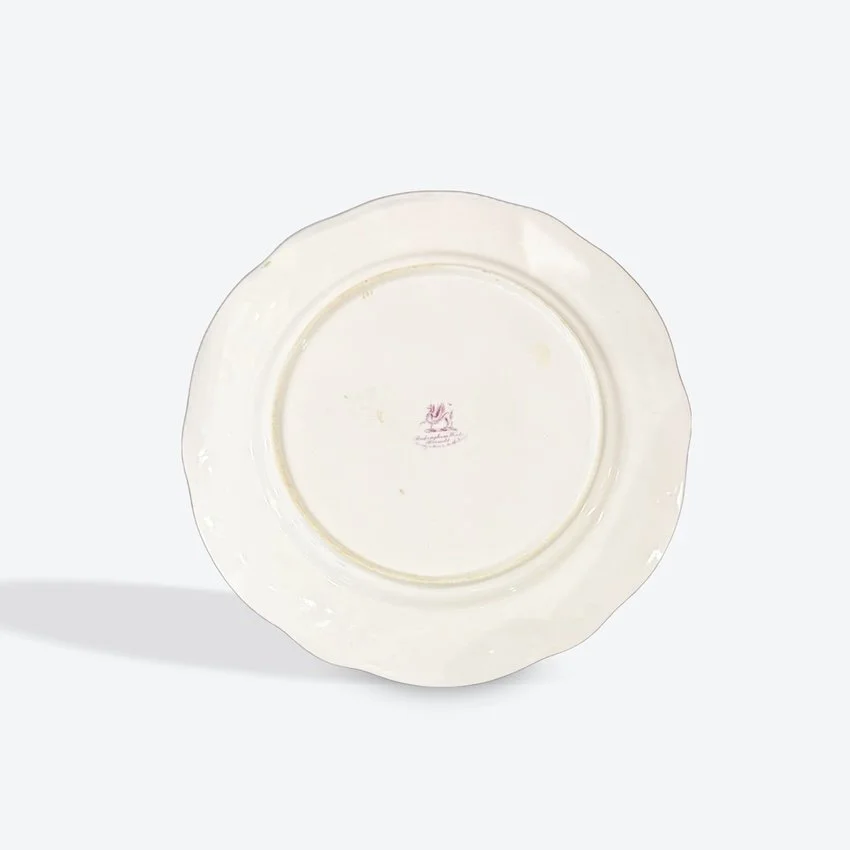 Back blue plate.jpg