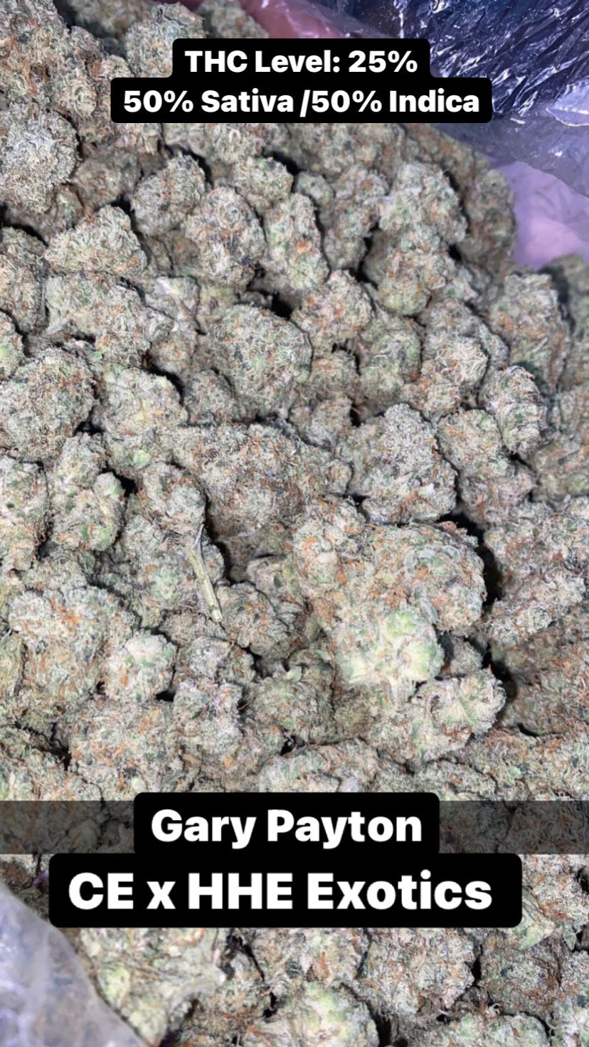 Close-up of green and orange dried cannabis buds with a label indicating THC level 25%, and genetics as 50% Sativa and 50% Indica, from Gary Payton strain by CE x HHE Exotics.