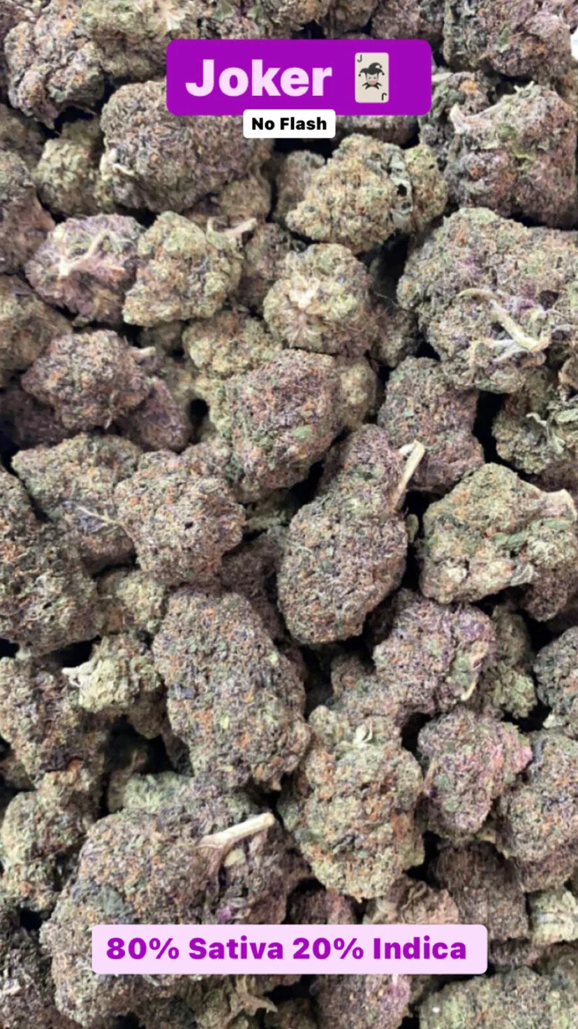 Close-up of cannabis buds labeled as 'Joker' with 80% indica and 20% sativa genetics, no flash.