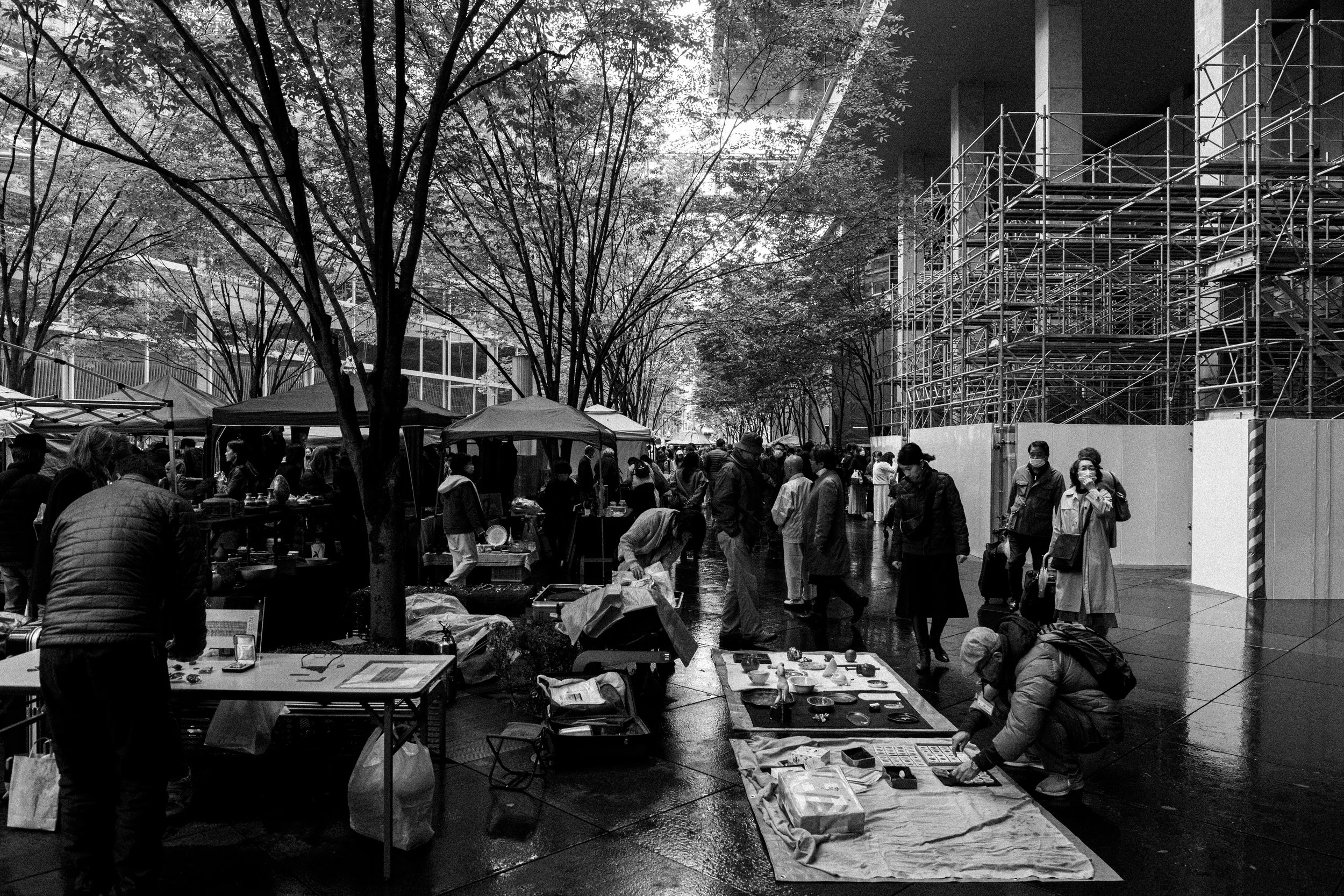9X0A2253BW.jpg
