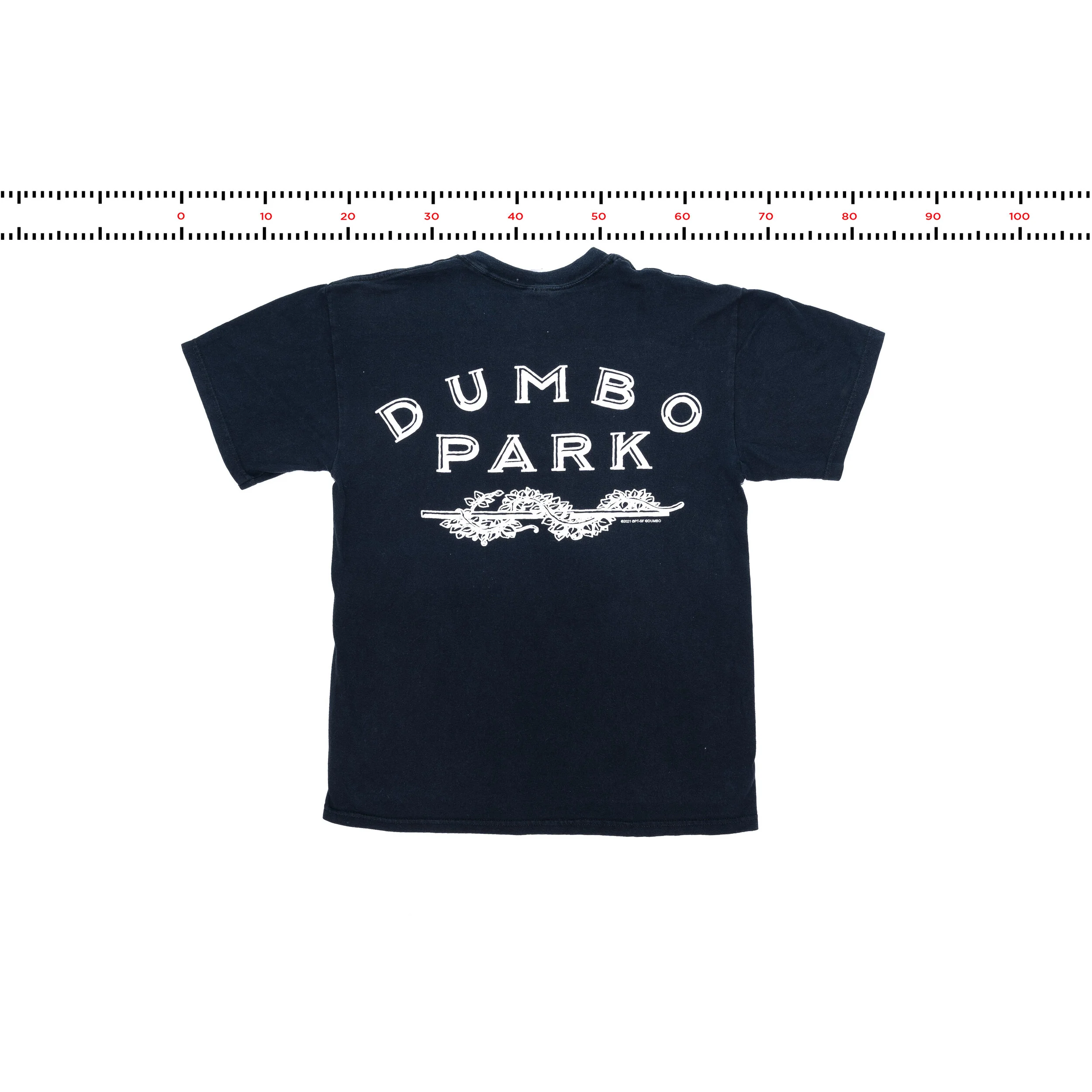 DUMBO_BACK_MESURES14.jpg