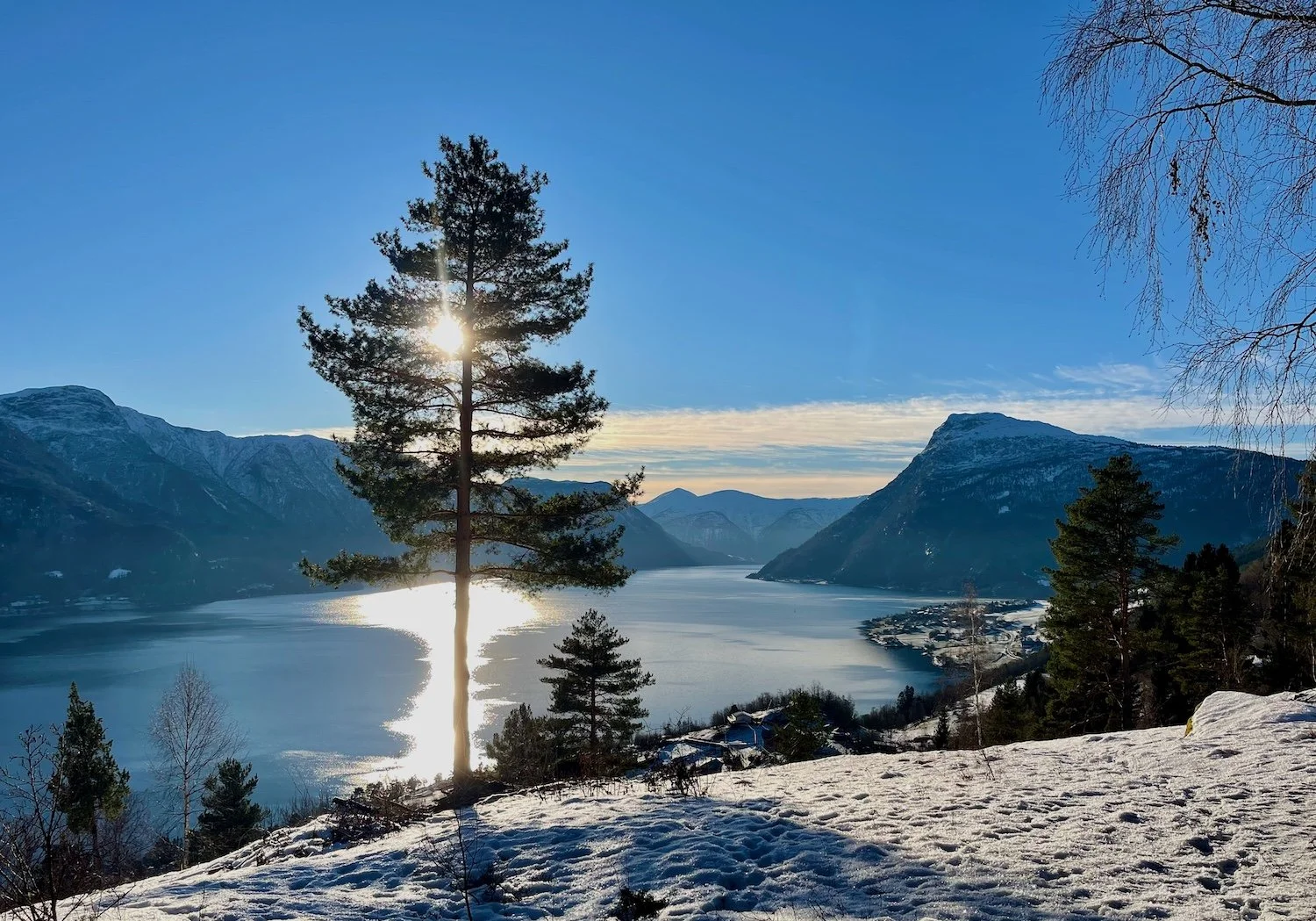 Utsikt utover Lustrafjorden fra Nipevegen over Øvre Høyheim