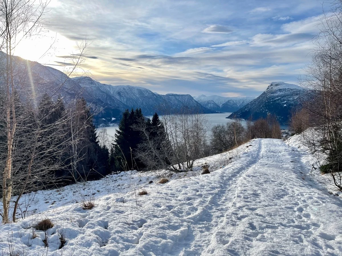 Flott utsikt fra Langen