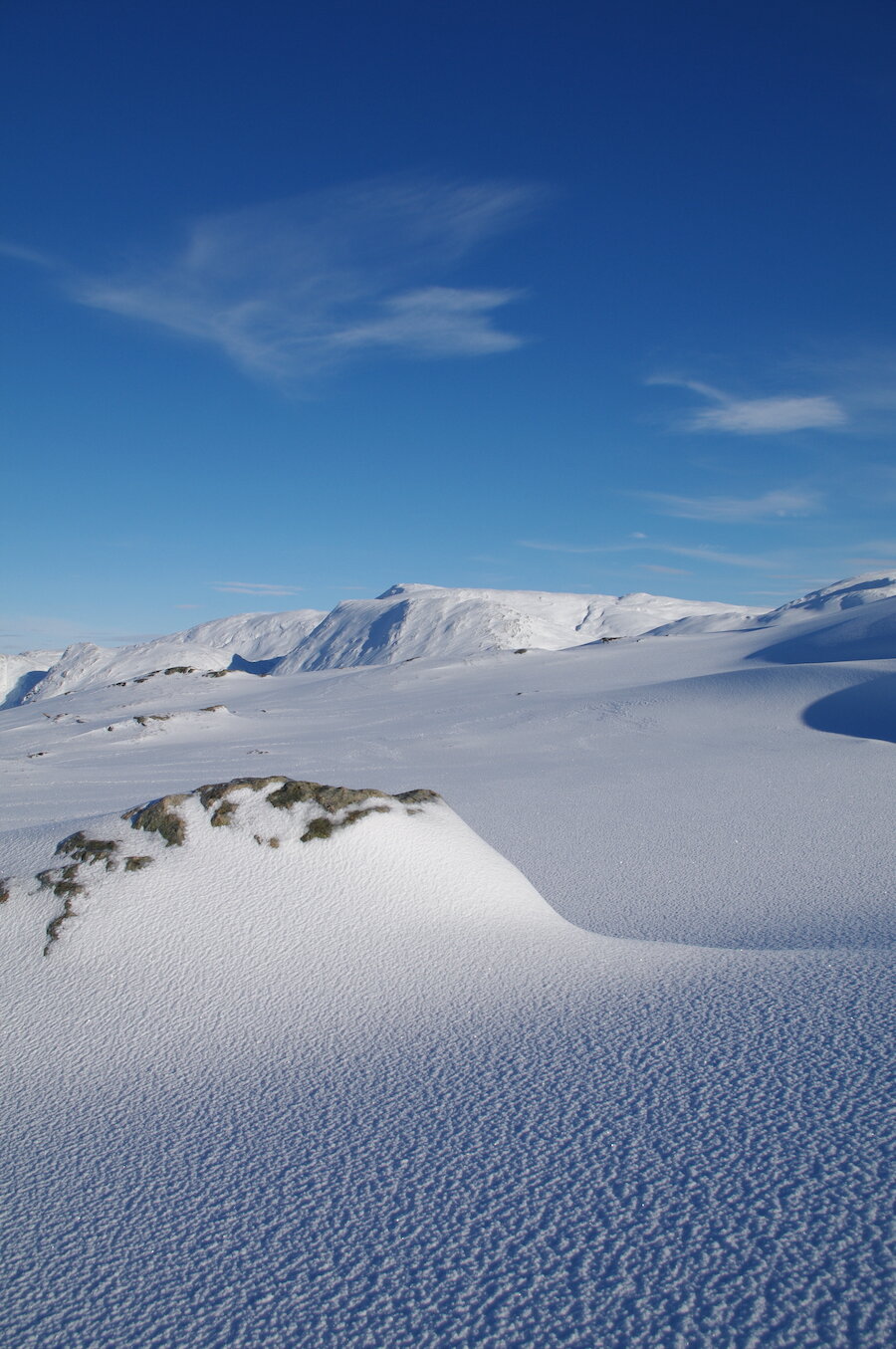 Hordaland Austefjellet 10-2016.jpeg