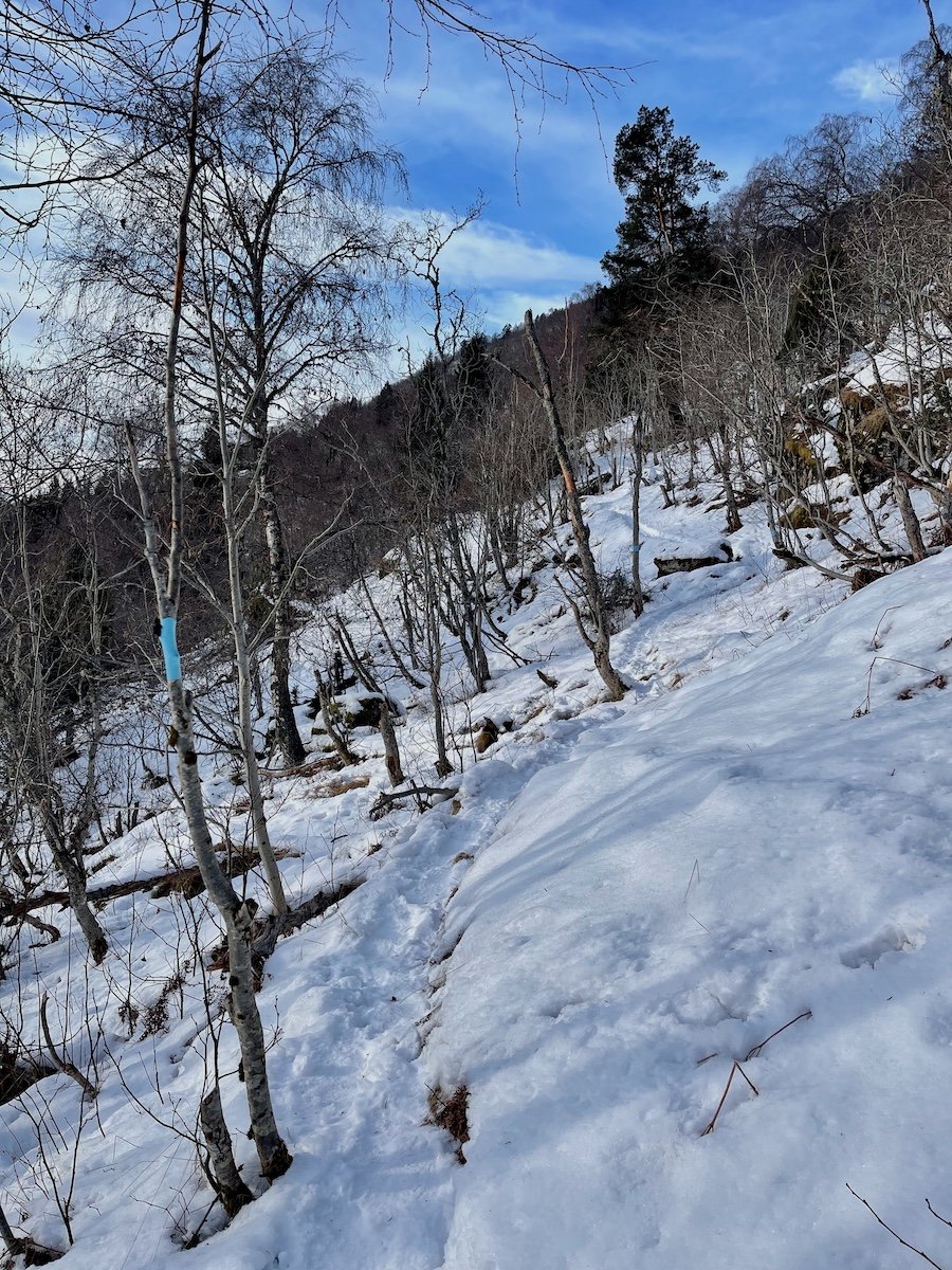 Snøsti på blåmerket sti mot Hunasete