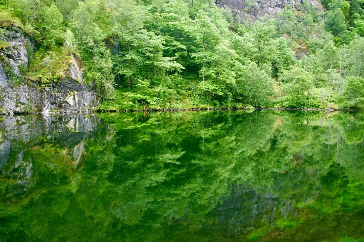 Djupetjødni i Mørkridsdalen