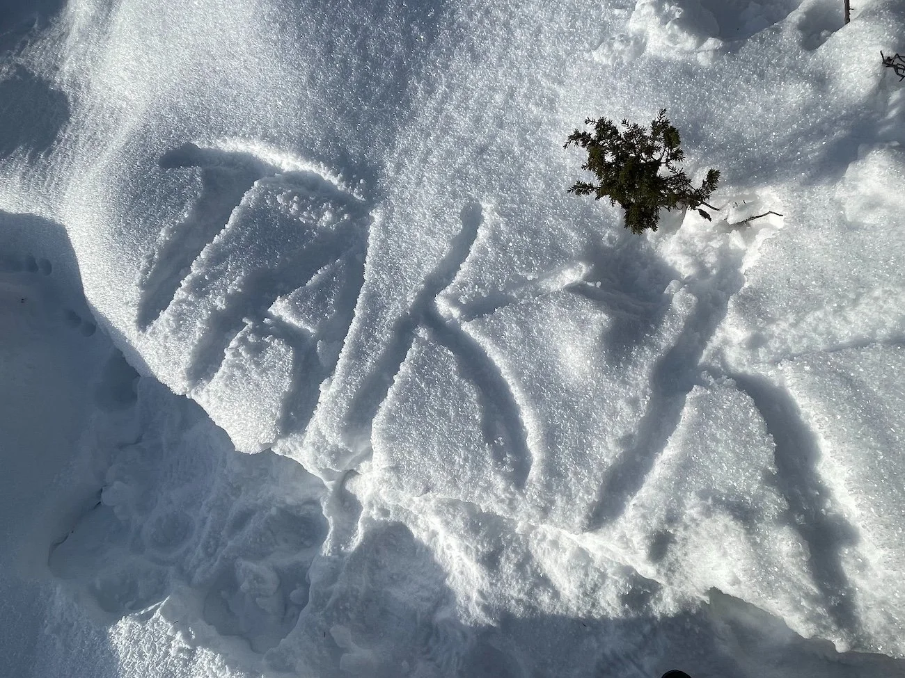 Takk for turen på vakre snøstier over Høyheimsvik