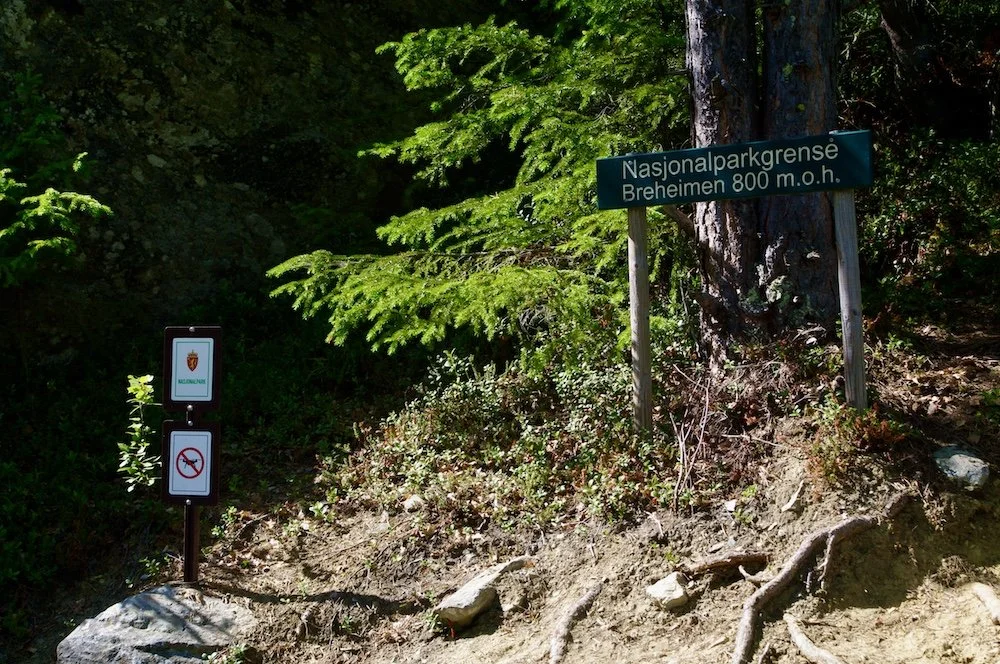 Nasjonalparkgrensen på vei opp Lomseggen