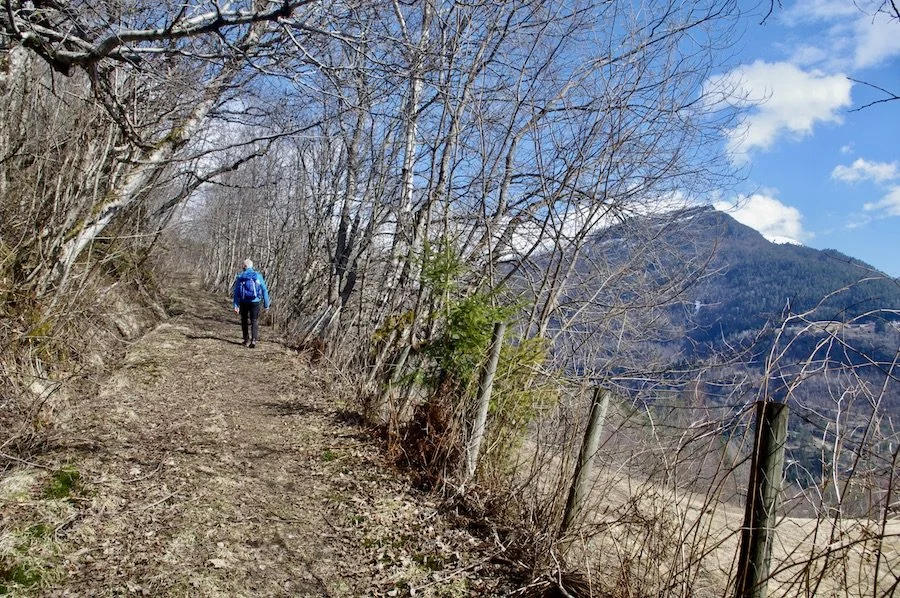 Flott sti oppover mot Brennesteinane