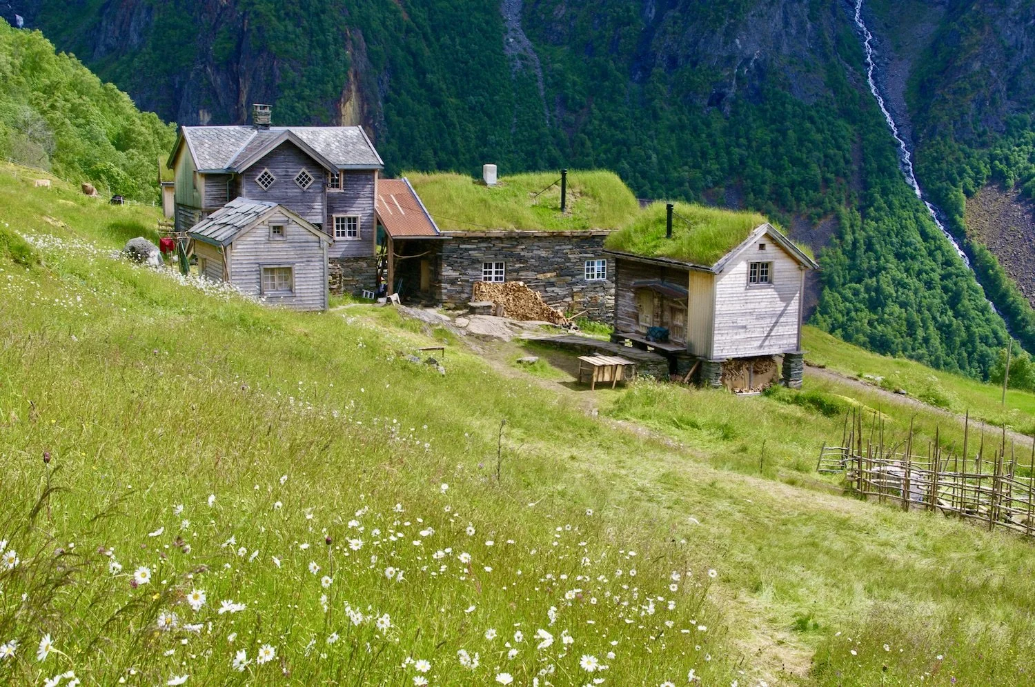 Ormelid gard juni 2025