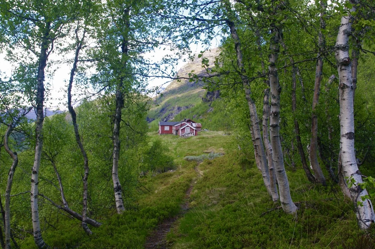 Fjellstølen Skåri