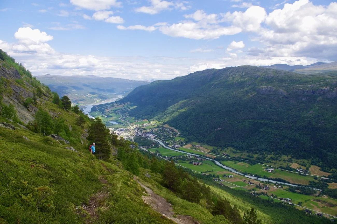 Stien til Lomseggen_sørsiden