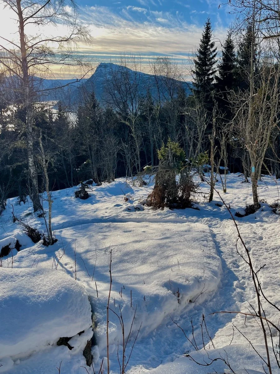 Nydelige snøstier over Høyheimsvik i Luster