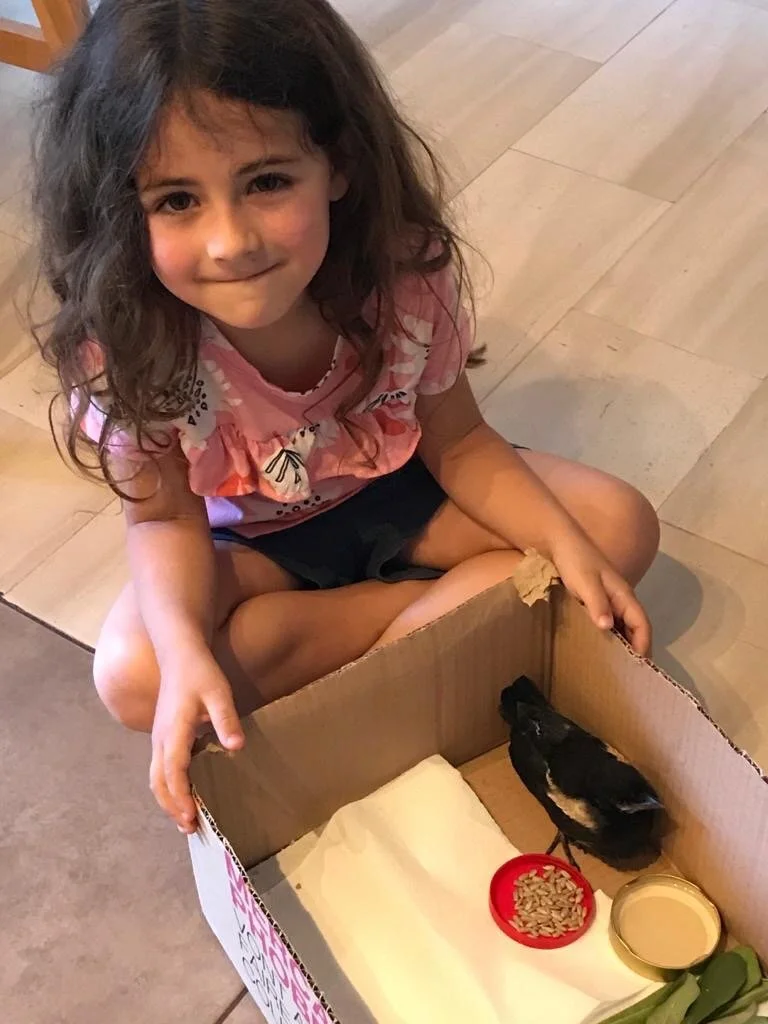 Feeding her little birdie that they found at Pierre and Nancy’s house.  I can’t remember the whole story, but the birdie eventually felt strong enough to fly away.