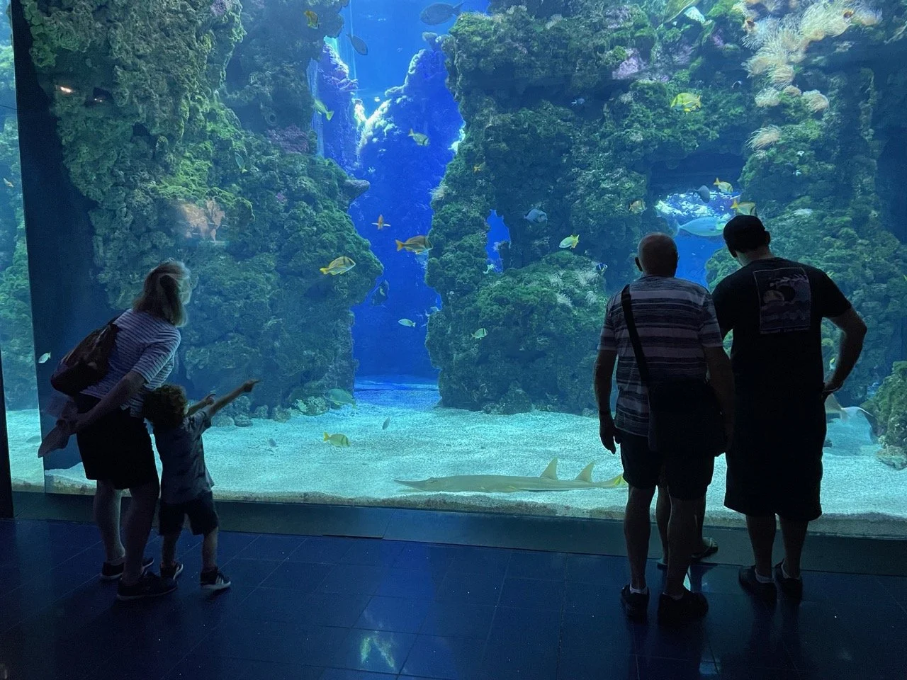 Musée Océanographique