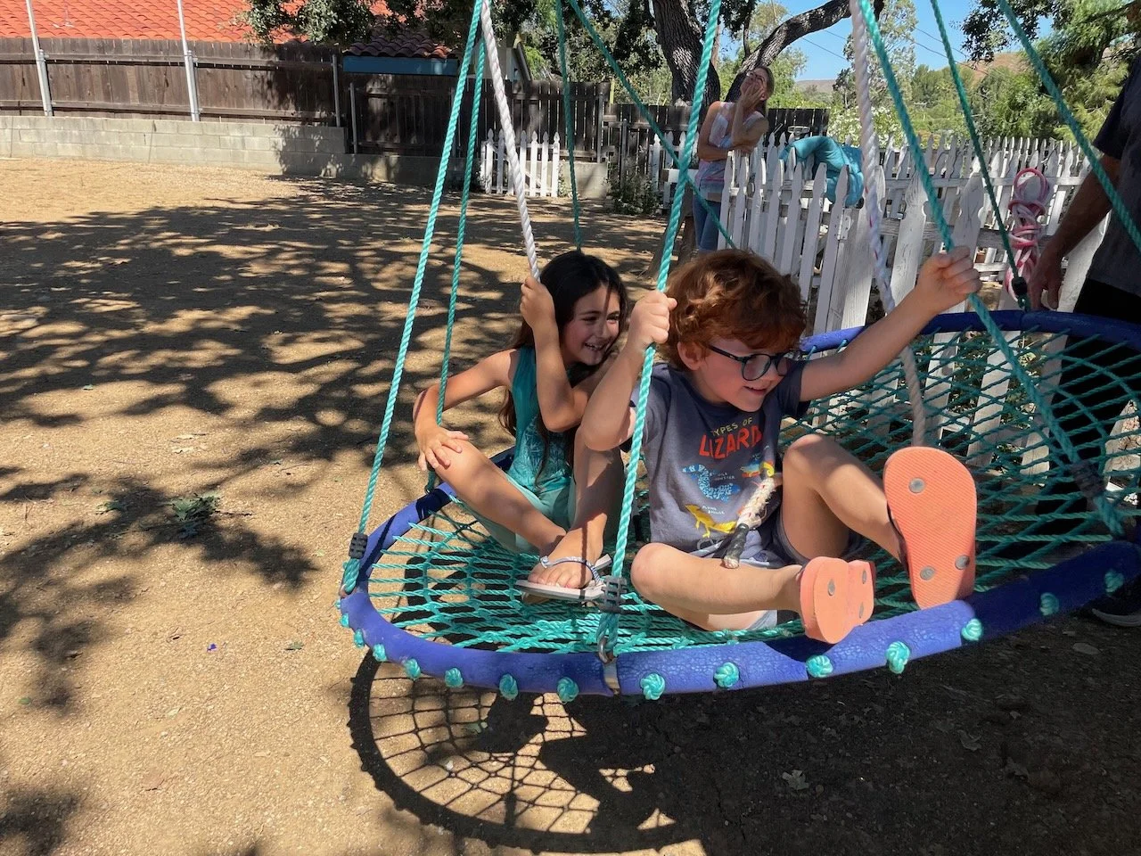 What Summer Dreams are made of