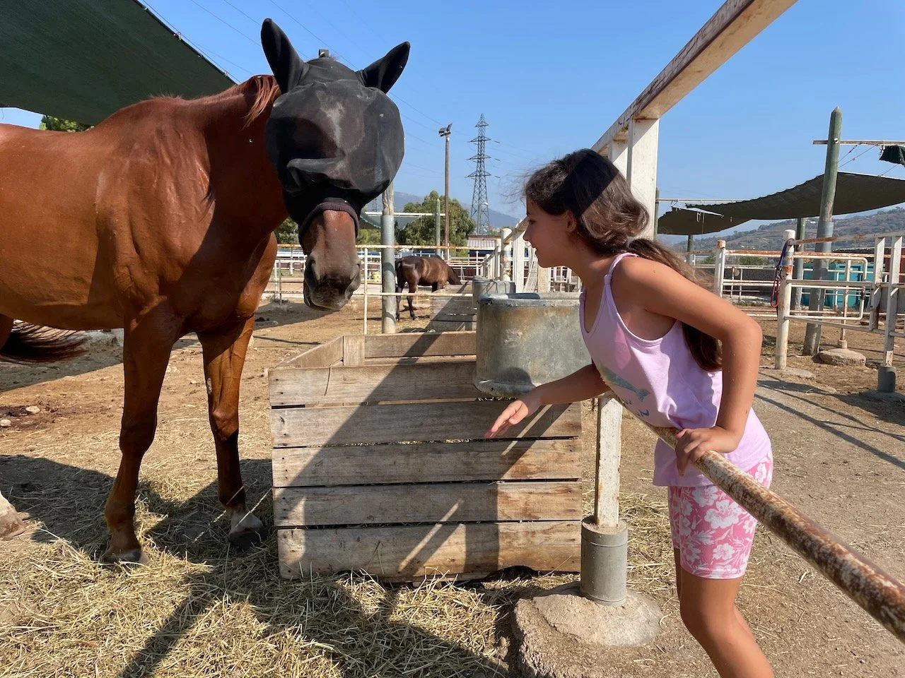 Wrapping up Summer 2023