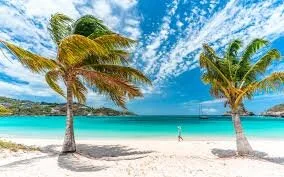 Reform of APD must take into account importance of long haul connectivity to Global Britain