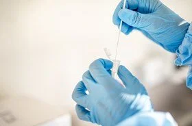 Rapid testing must form part of restart of international travel