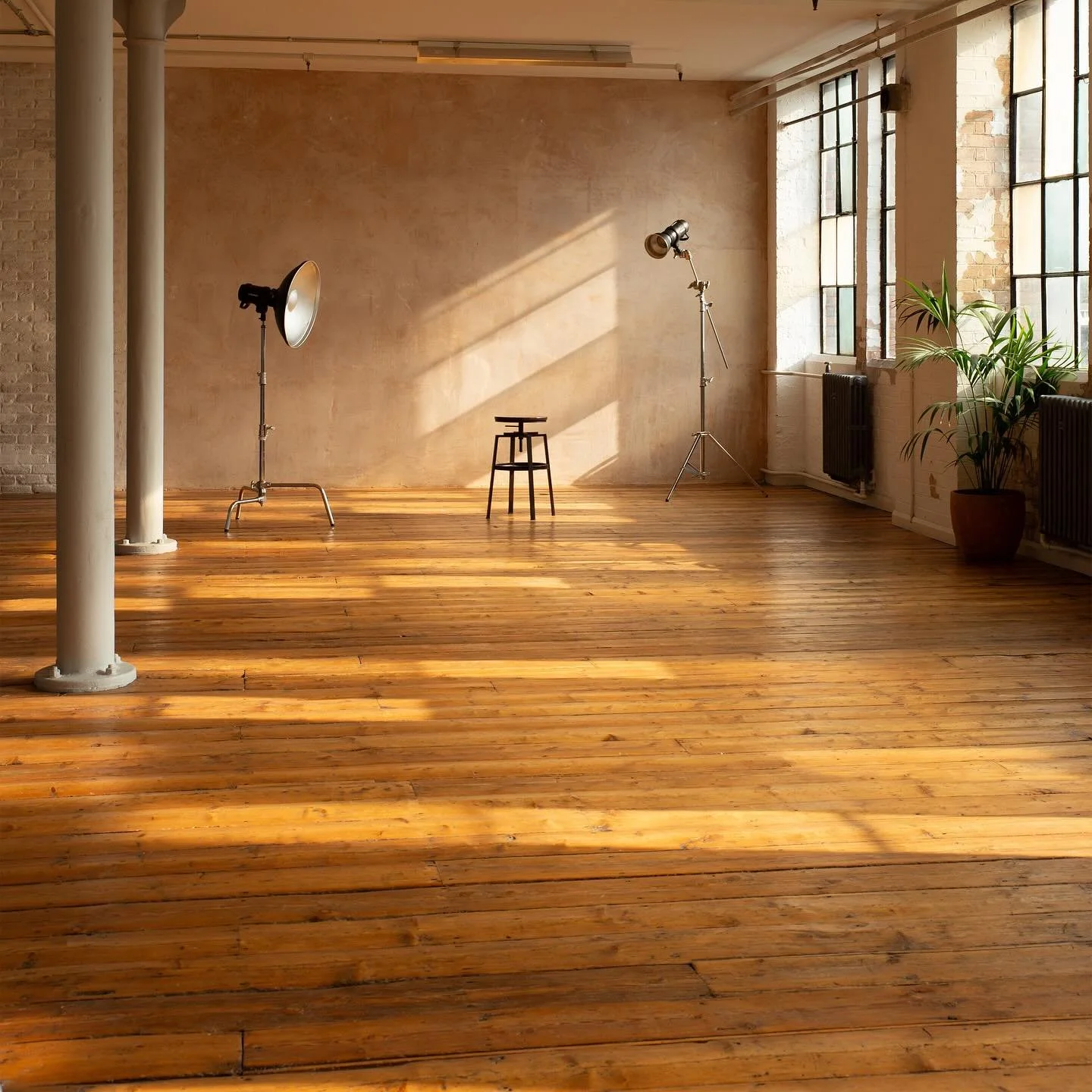 ☀️ Studio 1 in the sun, available to book now through our website ☀️