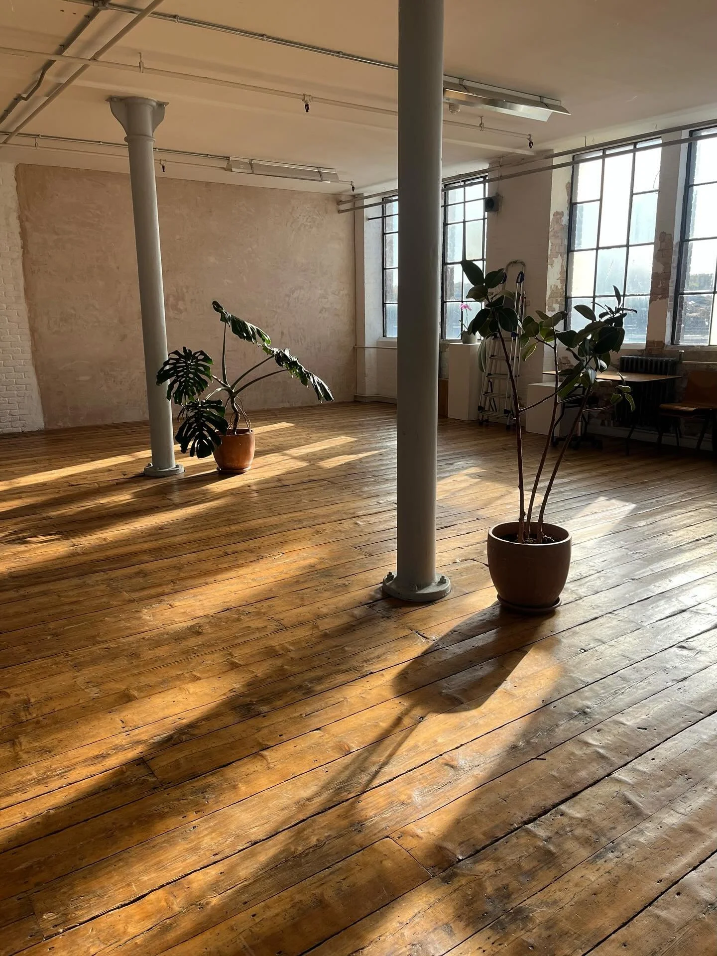 Features of our largest daylight studio on a sunny day. Hire from &pound;310 with included Profoto flash 📸 

#photography #studiophotography #londonstudio #studiohire #londonphotography #londonphotographer #portraitsession #studiolighting #photostud