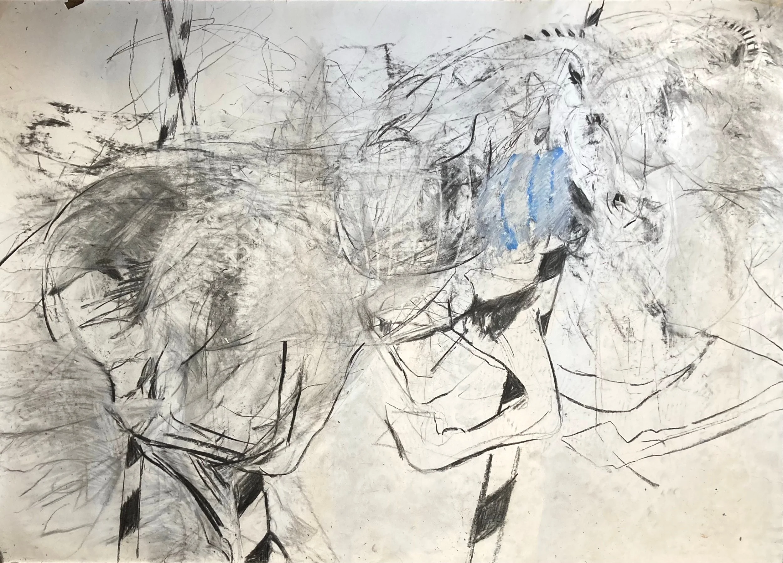 Horse+drawing+2+23.jpg