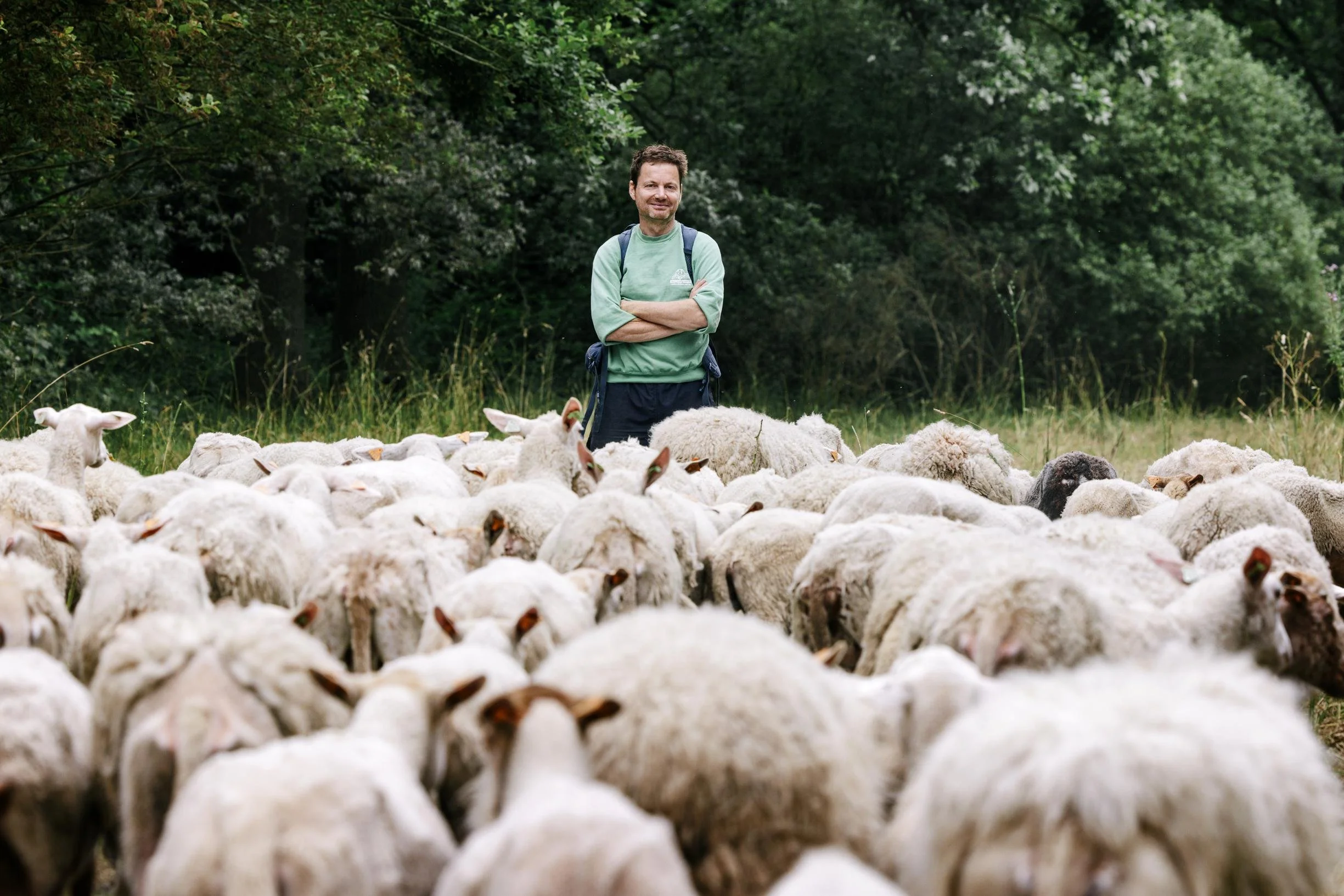 Shepherd 