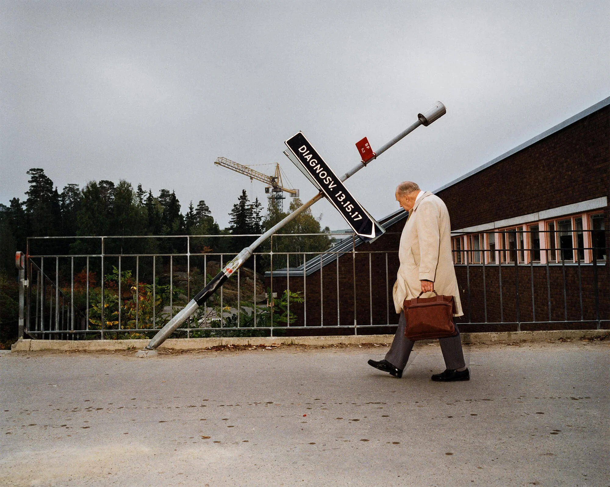 Tunbjörkutställningen i Washington recenseras