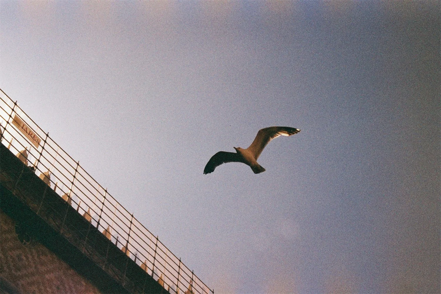 Breath technique: You’ve survived this long...do you really need to work on your breathing?