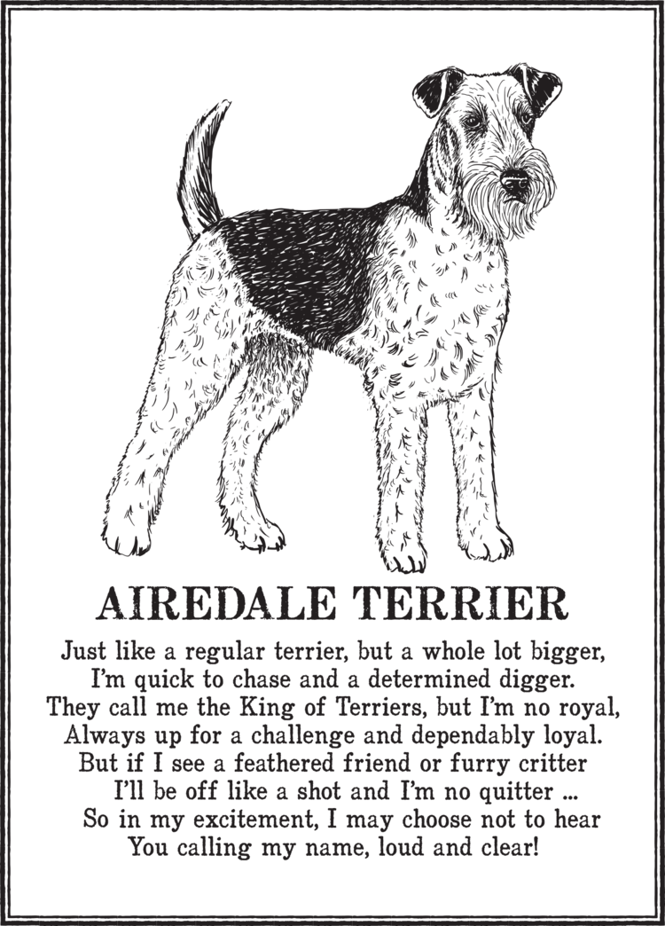 Airedale+Terrier.png