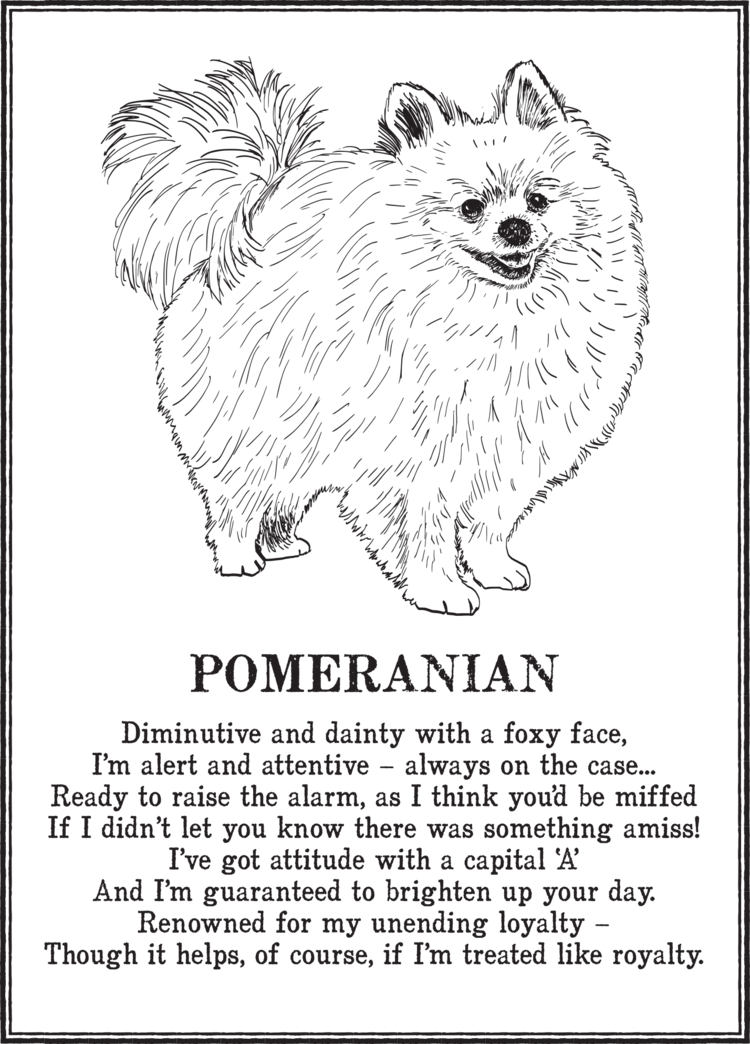Pomeranian.png