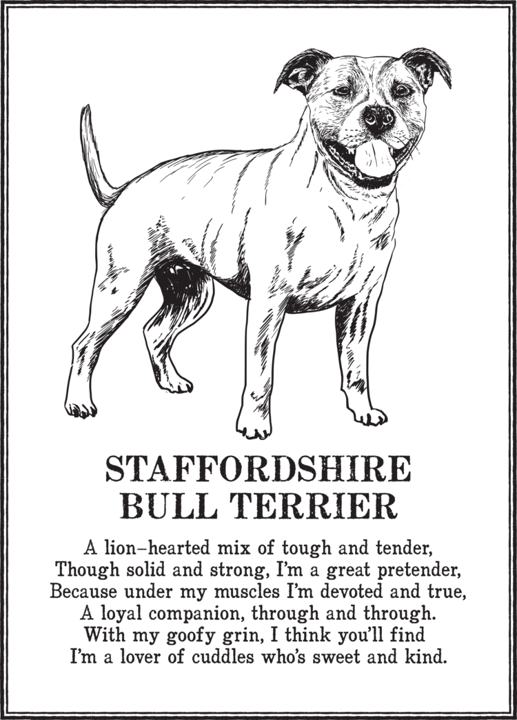 Staffordshire+Bull+Terrier.png