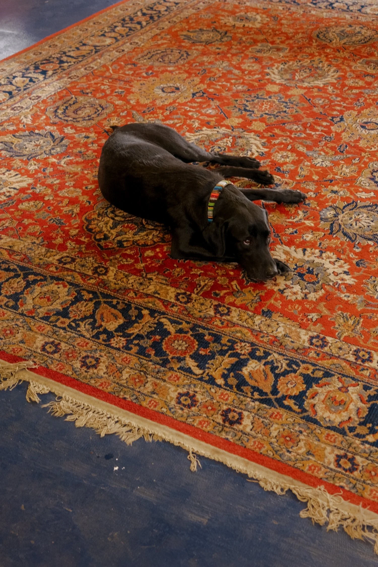 DSCF3285.jpg