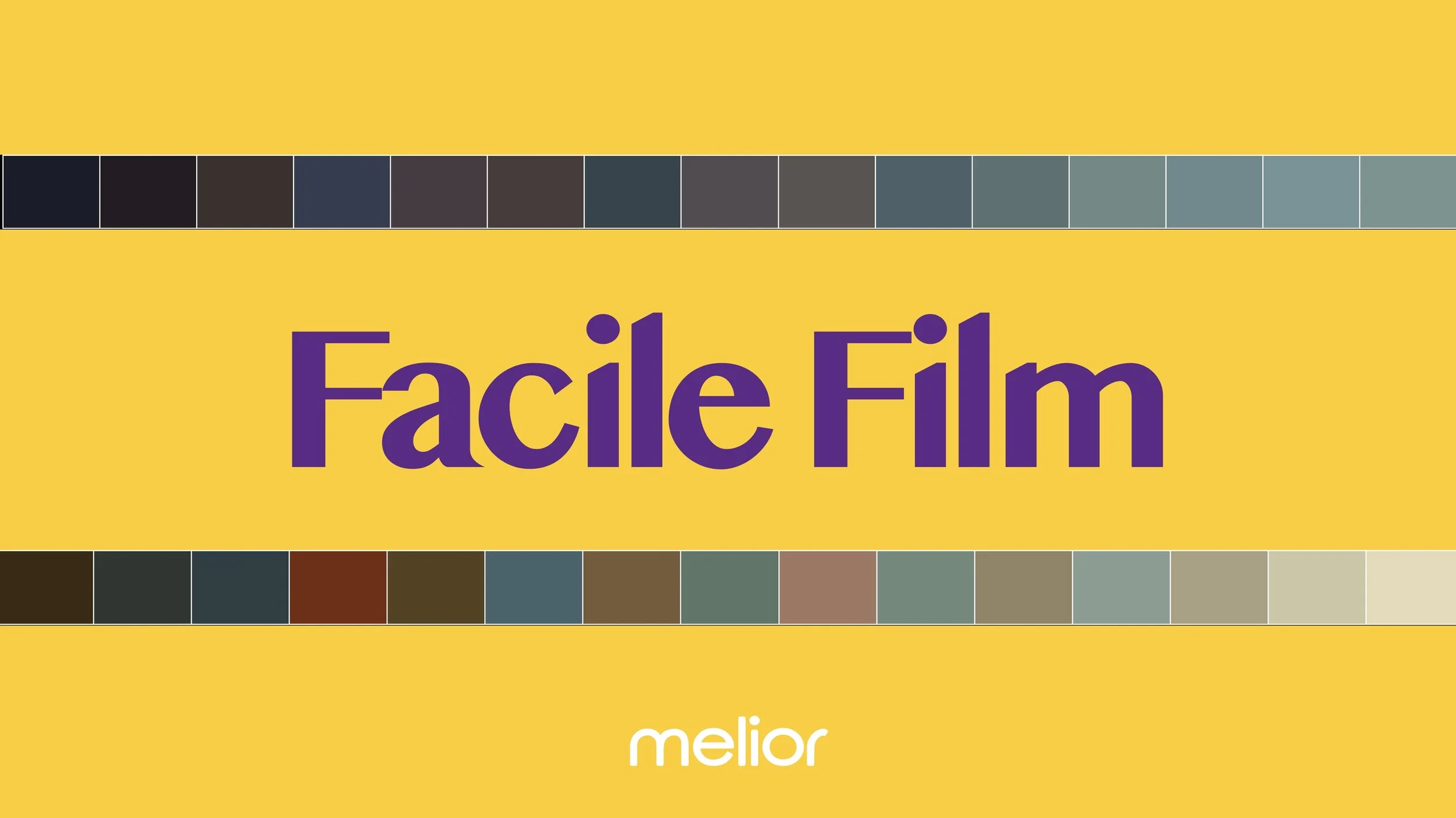 Facile Film Powergrade