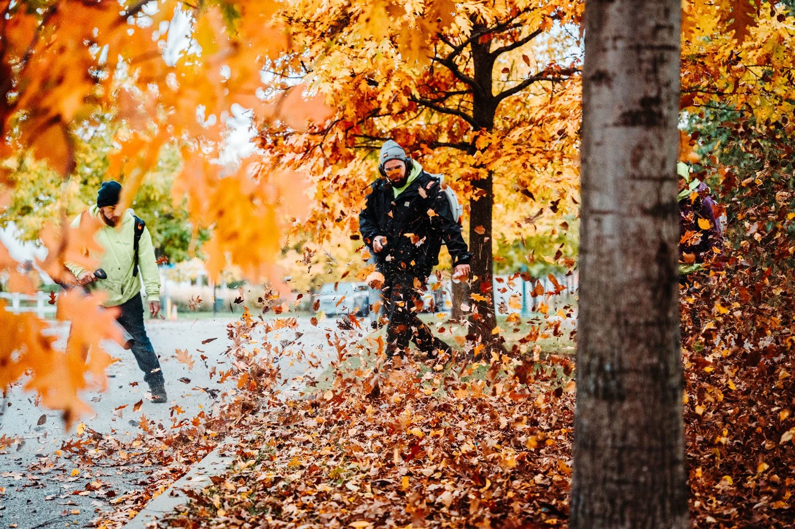 Essential Fall Cleanup Tips for Vermont Homeowners