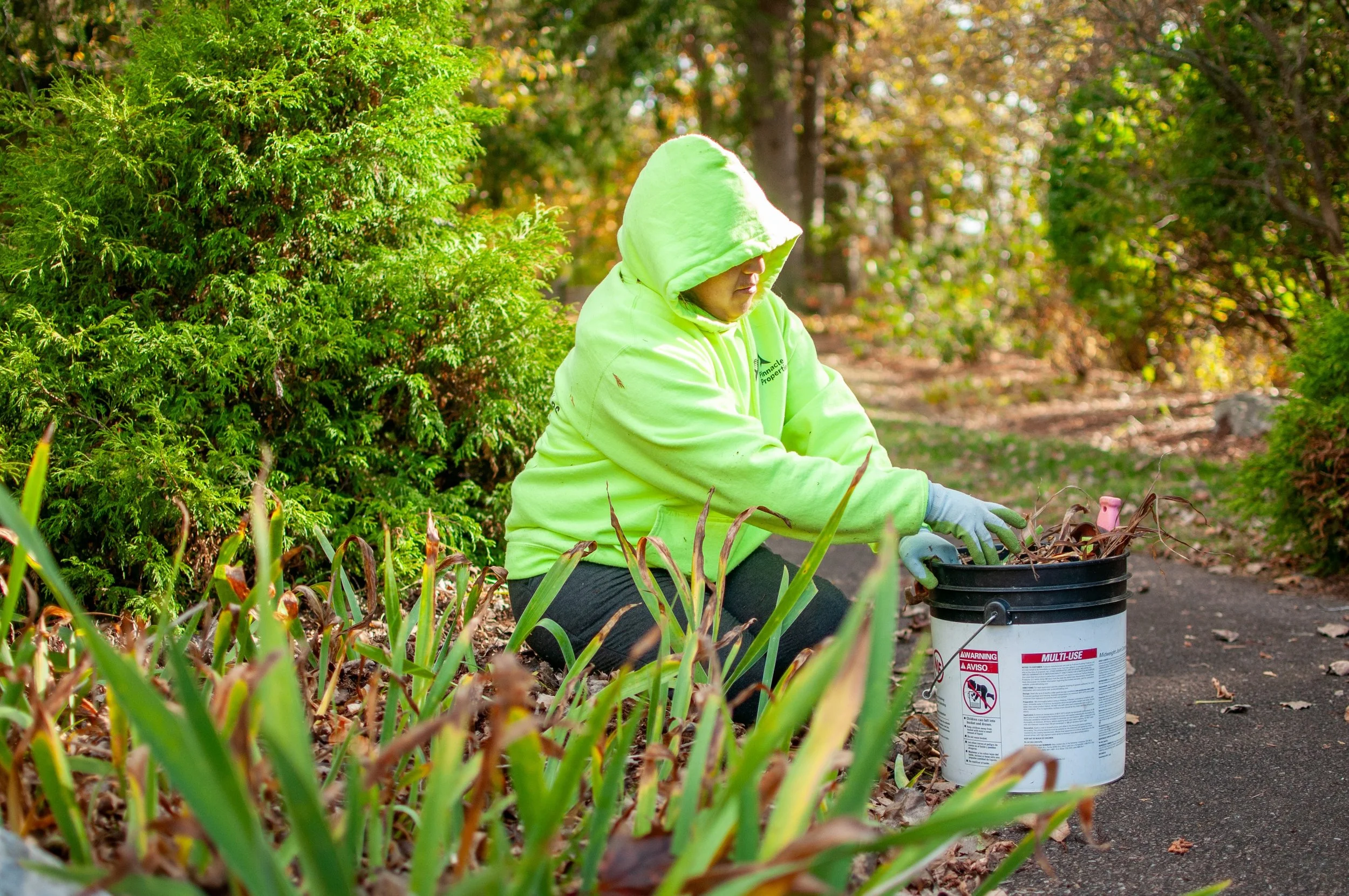 pinnacle properties landscaper cleaning up dead leaves in preparation for winter