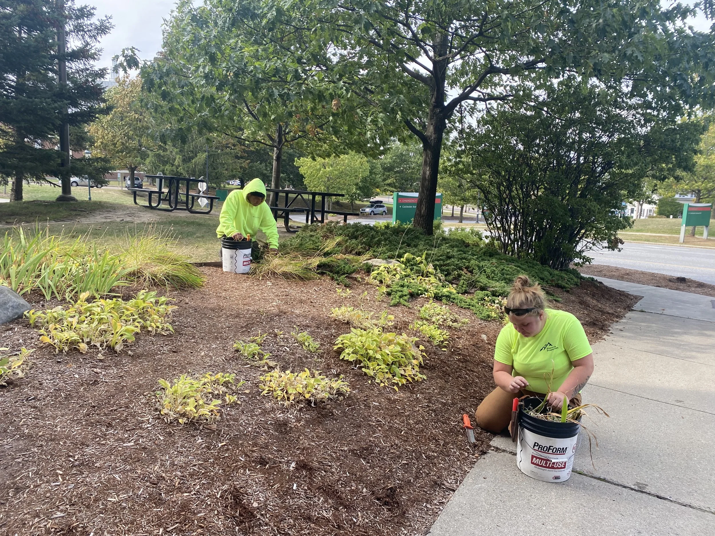 Top Landscape Projects to Start This Year and How to Choose the Right One for Your Property