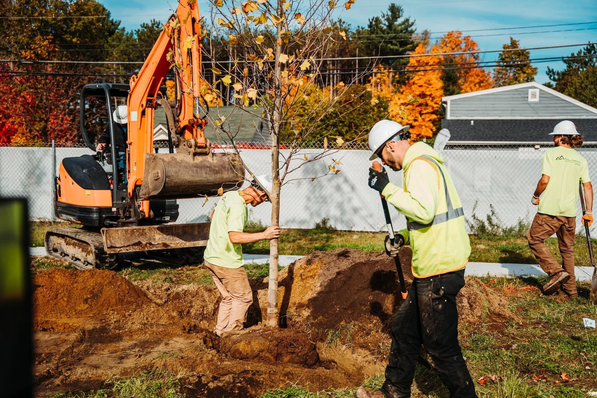 Backyard Master Plan: How to Phase a Landscape Project Over Time