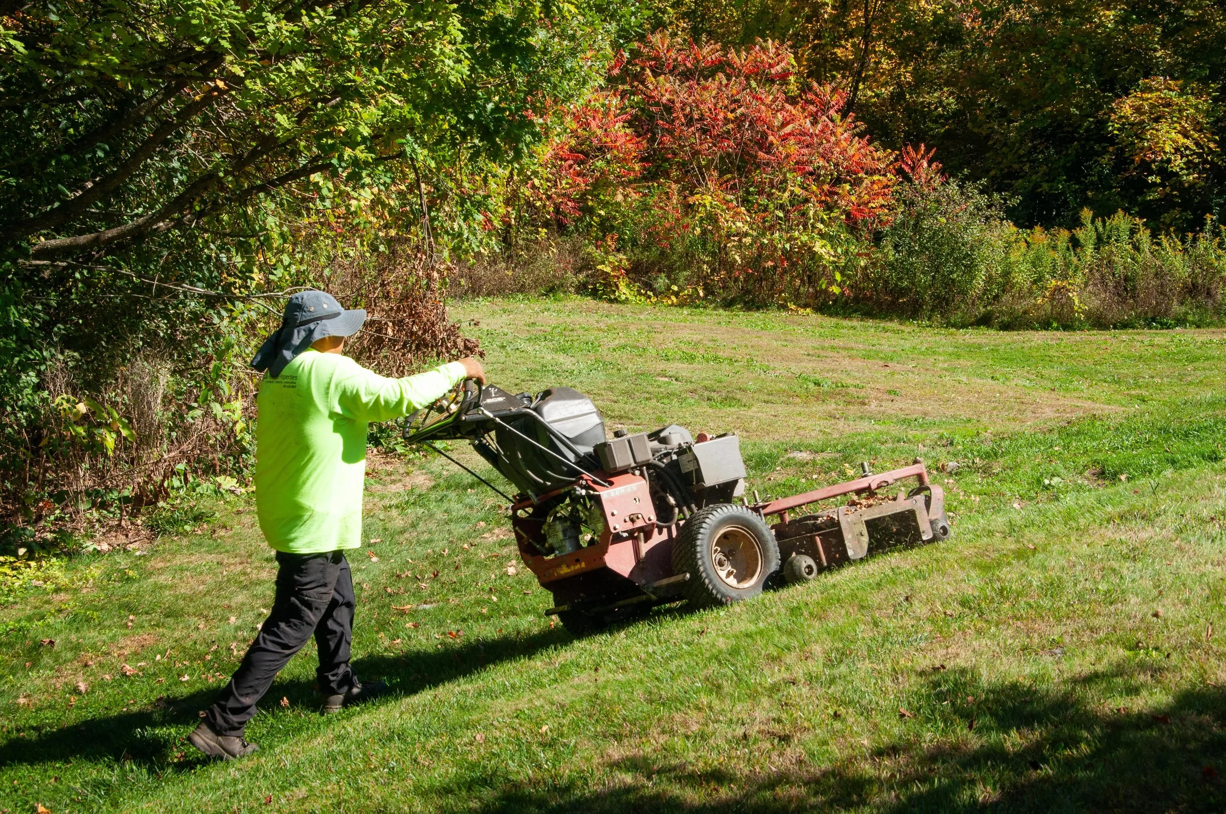 Before You Build: Questions to Ask Before Starting a Landscape Project